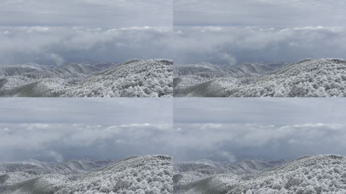 航拍雾凇满山雾凇 大雪封山