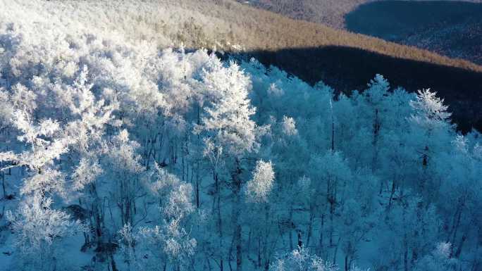 林海雪原 唯美高山雾凇