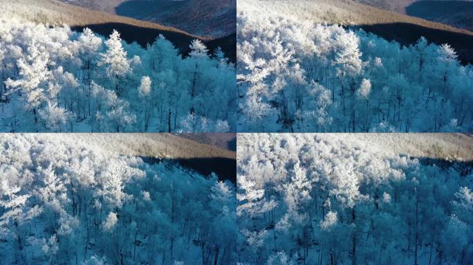 林海雪原 唯美高山雾凇