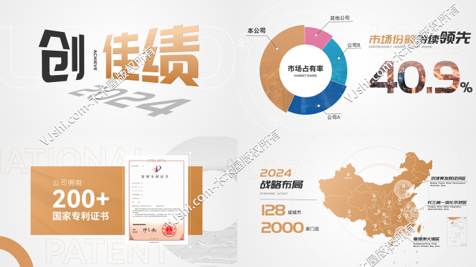 企业年报年度业绩数据展示