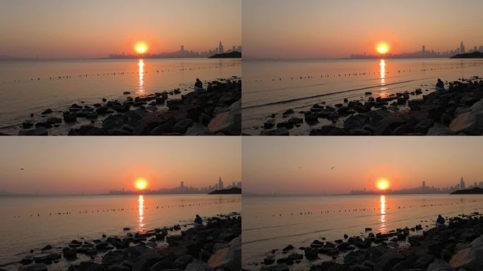 黄昏落日夕阳下一个人独坐一群海鸥飞过太阳