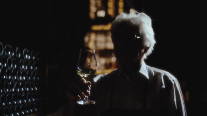 SLO MO品味宁静:鉴赏家优雅地旋转一杯葡萄酒，喝一口，酿酒厂，葡萄酒，葡萄酒商