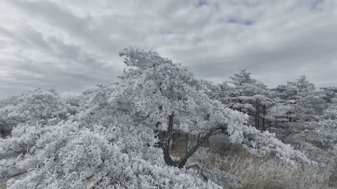 航拍雾凇满山雾凇 大雪封山