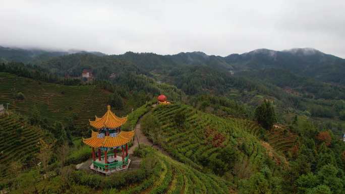 湖南郴州桂东茶园茶山三农冬季自然风光航拍