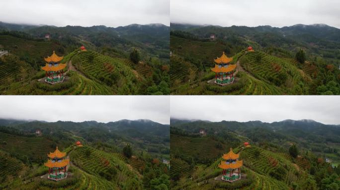 湖南郴州桂东茶园茶山三农冬季自然风光航拍
