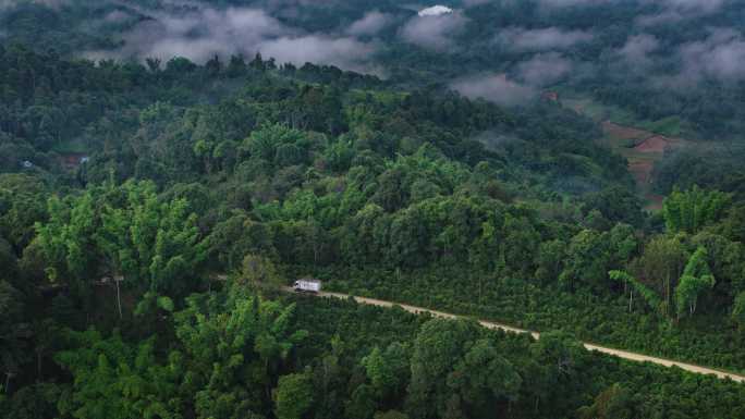 货车在山路行驶 运输