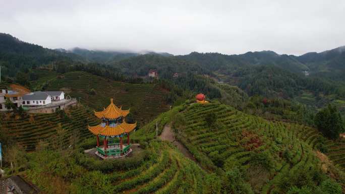 湖南郴州桂东茶园茶山三农冬季自然风光航拍