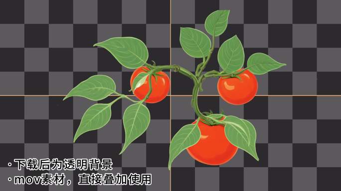 藤蔓西红柿动画【带通道+无限循环】