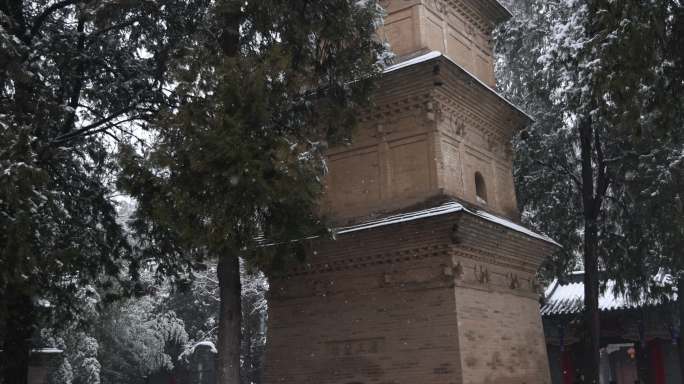 护国兴教寺 唐三藏寺院 唐僧寺院 雪景