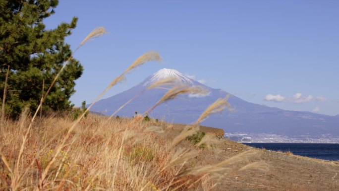 从海边看，湛蓝的天空和富士山