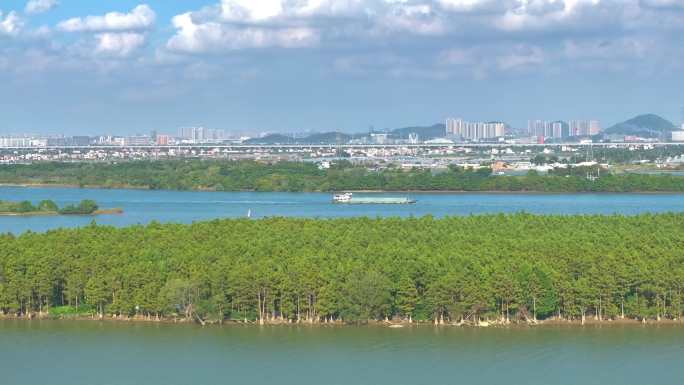 珠海市斗门水松林自然保护区