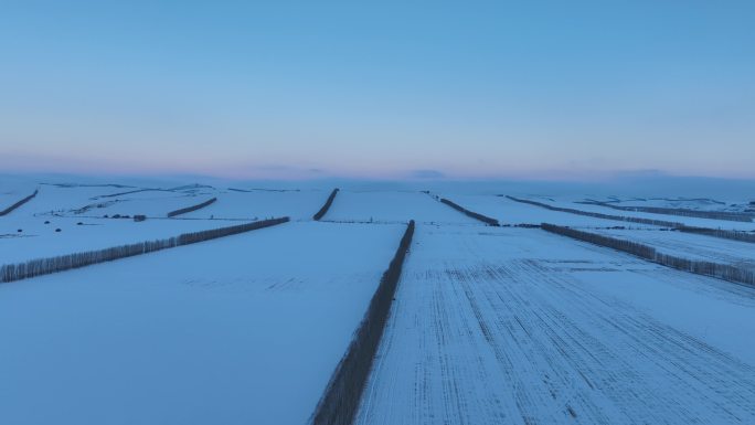 冬季呼伦贝尔田野雪景