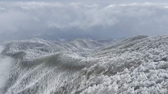 航拍雾凇满山雾凇 大雪封山