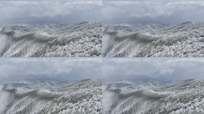 航拍雾凇满山雾凇 大雪封山