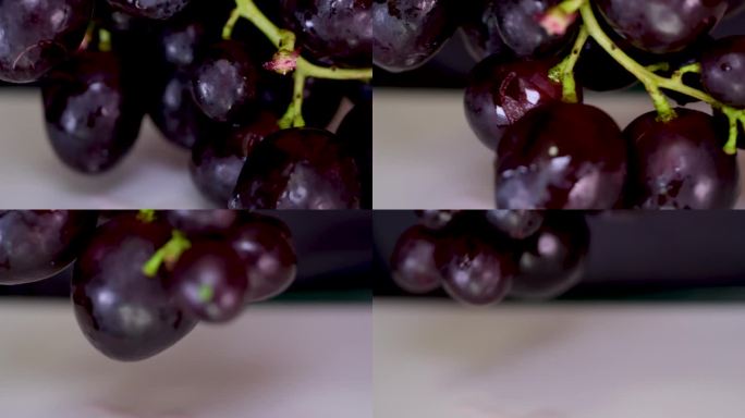 葡萄生长的一套要素，种植葡萄的过程从播种、发芽、开花、坐果、变型、收获、成熟的葡萄串。