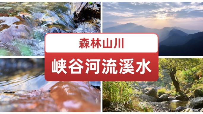 森林山川峡谷河流溪水小溪流水潺潺河谷