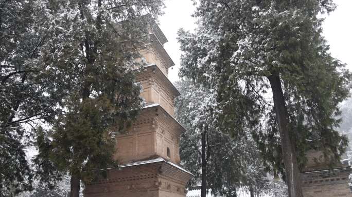 护国兴教寺 唐三藏寺院 唐僧寺院 雪景