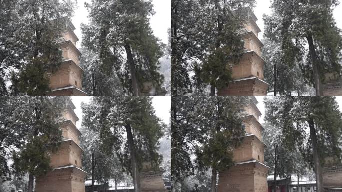 护国兴教寺 唐三藏寺院 唐僧寺院 雪景