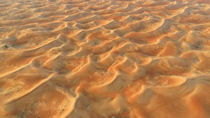 沙丘。