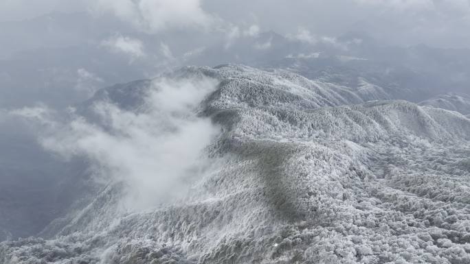 航拍雾凇满山雾凇 大雪封山