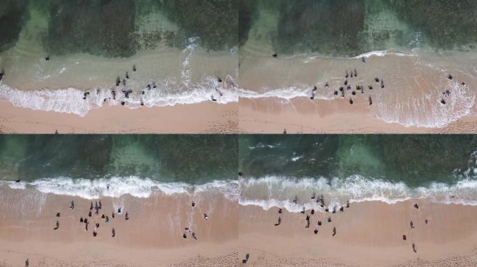 空中无人机拍摄的假期在印尼的古农海滩，有大海、船和人。
