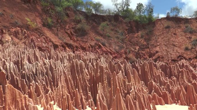 马达加斯加的红青岛啤酒。地质学。大自然的奇迹。红青岛-独特的玄武岩。由于土壤侵蚀而形成的岩层。