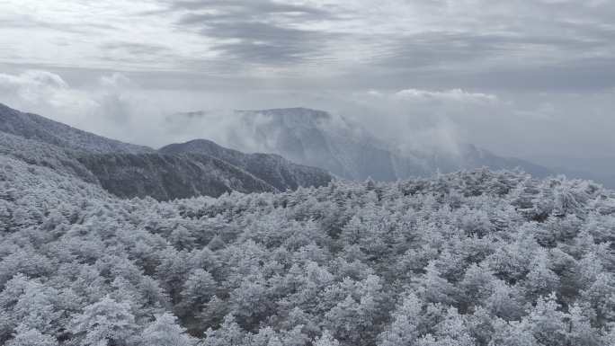 航拍雾凇满山雾凇 大雪封山