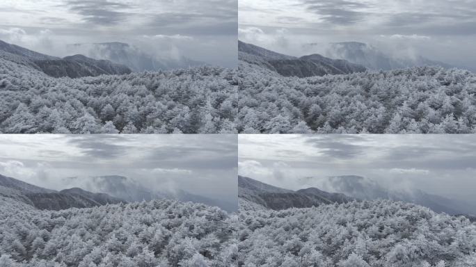 航拍雾凇满山雾凇 大雪封山