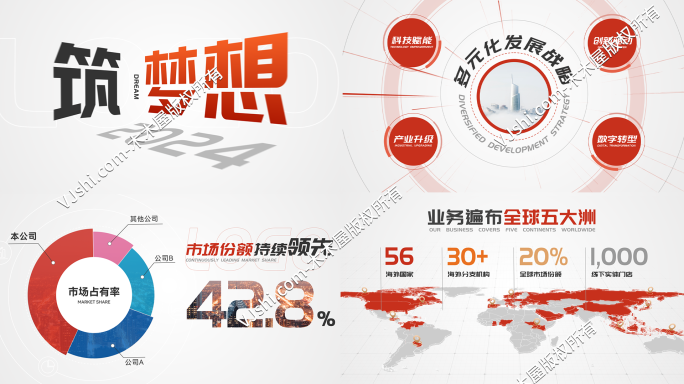企业年报财务总结数据展示