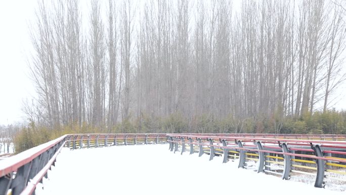 冬天大雪缓缓飘落