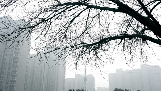 雾霾笼罩城市-3