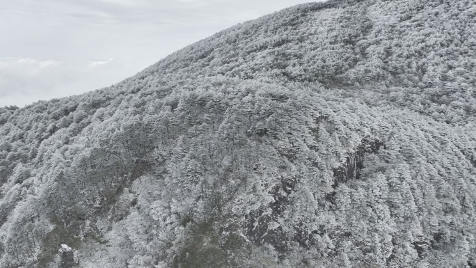 航拍雾凇满山雾凇 大雪封山