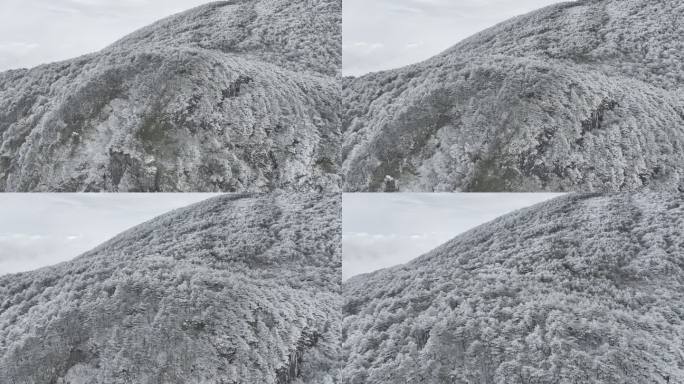 航拍雾凇满山雾凇 大雪封山