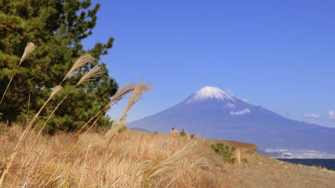 从海边看，湛蓝的天空和富士山