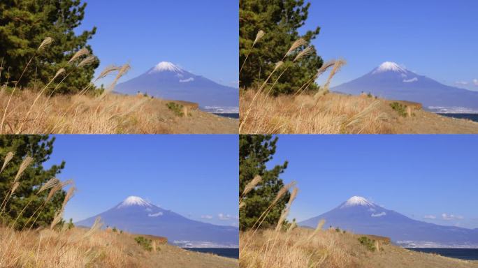 从海边看，湛蓝的天空和富士山