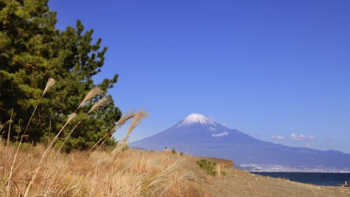 从海边看，湛蓝的天空和富士山