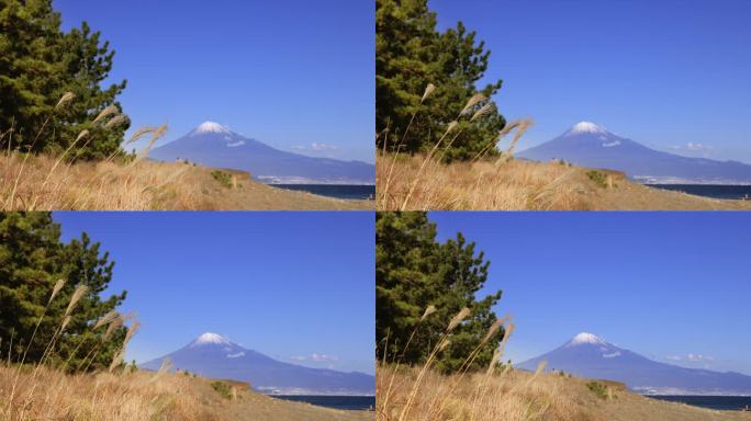 从海边看，湛蓝的天空和富士山