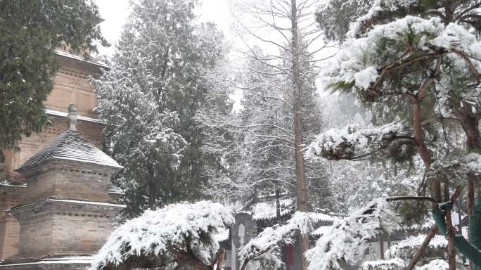 护国兴教寺 唐三藏寺院 唐僧寺院 雪景