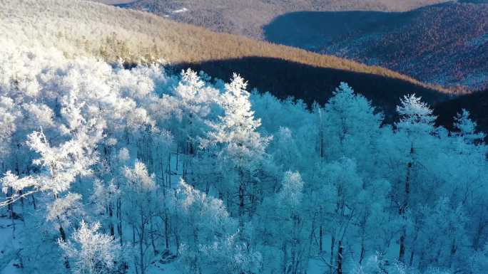 林海雪原 唯美高山雾凇