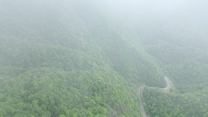 清晨航拍湘西原始次森林穿雾穿云云雾缭绕