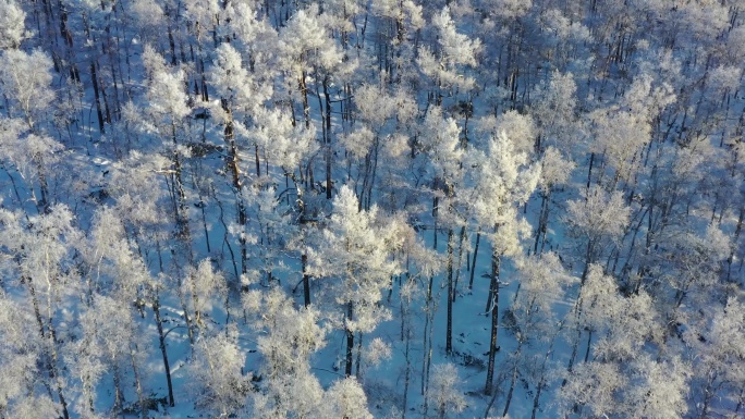 林海雪原 唯美高山雾凇