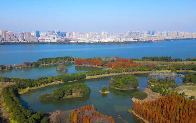 南昌艾溪湖森林湿地公园