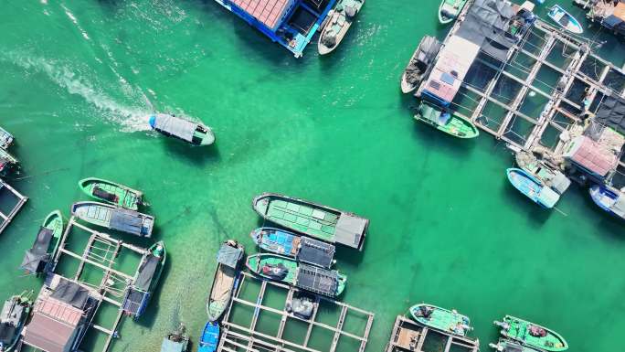 4k海南陵水疍家鱼排玻璃海海湾出海口航拍