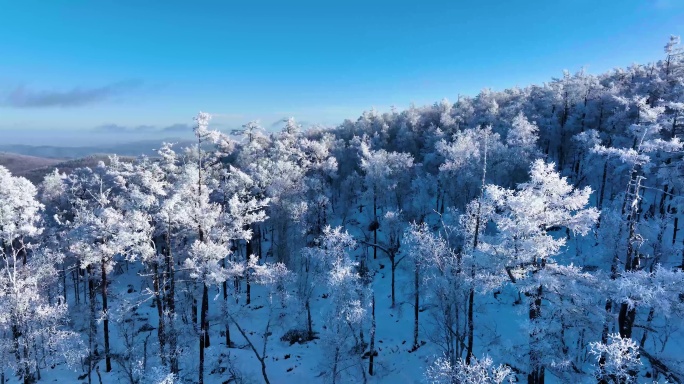 林海雪原 唯美高山雾凇