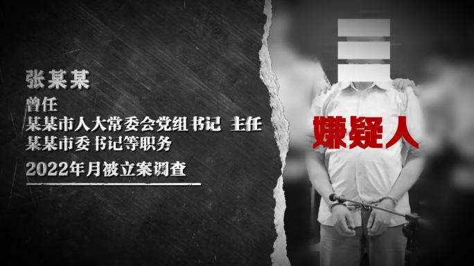 警示反腐扫黑纪委嫌疑人简介