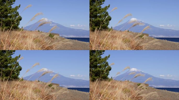 从海边看，湛蓝的天空和富士山