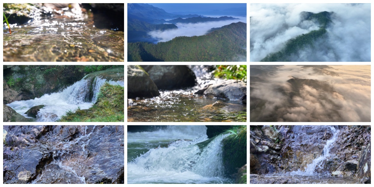 森林峡谷山水 峡谷小溪 流水潺潺清澈溪水