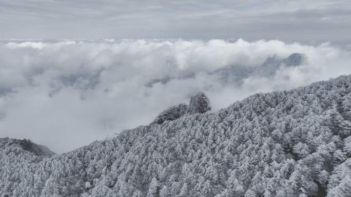 航拍雾凇满山雾凇大雪封山唯美雪景雪山云海