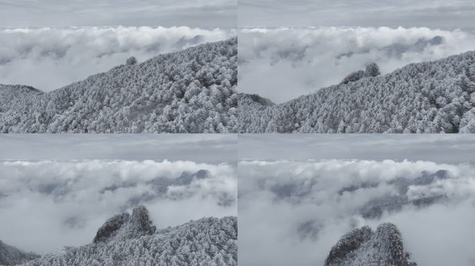 航拍雾凇满山雾凇大雪封山唯美雪景雪山云海