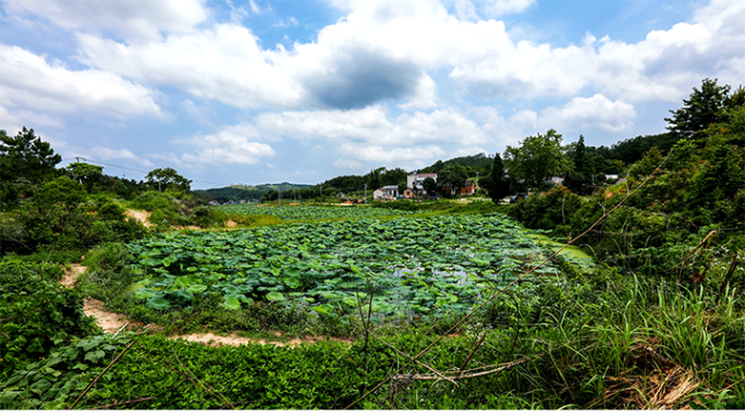 美丽乡村航拍延时 乡村风景延时